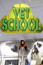 Watch Vet School 9movies