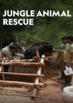 Watch Jungle Animal Rescue 9movies