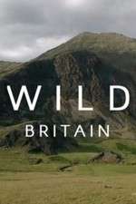 Watch Wild Britain 9movies