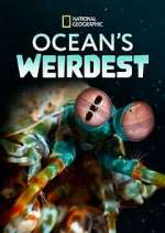 Watch Ocean's Weirdest 9movies