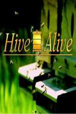 Watch Hive Alive 9movies