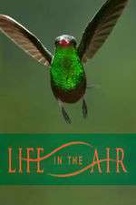 Watch Life in the Air 9movies