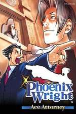 Watch Phoenix Wright: Ace Attorney 9movies