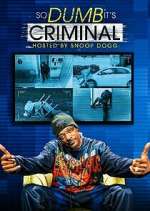 Watch So Dumb It's Criminal 9movies