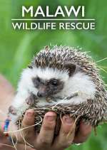 Watch Malawi Wildlife Rescue 9movies