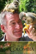 Watch Wild Colombia with Nigel Marven 9movies