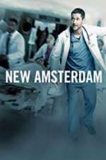 Watch New Amsterdam 9movies