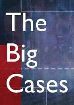 Watch The Big Cases 9movies