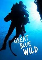 Watch Great Blue Wild 9movies