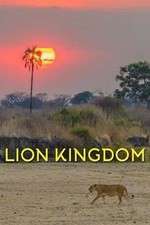 Watch Lion Kingdom 9movies