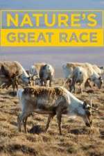 Watch Nature's Great Race 9movies