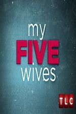 Watch My Five Wives 9movies