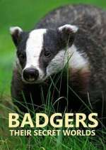 Watch Badgers: Their Secret Worlds 9movies