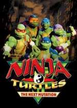 Watch Ninja Turtles: The Next Mutation 9movies