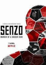 Watch Senzo: Murder of a Soccer Star 9movies