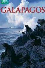 Watch Galapagos 9movies