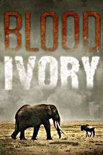 Watch Blood Ivory 9movies