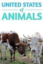 Watch United States of Animals 9movies