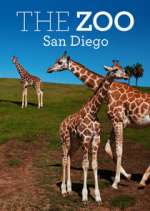 Watch The Zoo: San Diego 9movies