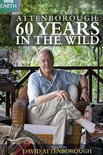 Watch Attenborough 60 Years in the Wild 9movies