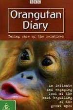 Watch Orangutan Diary 9movies