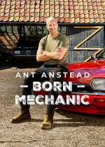 Watch Ant Anstead: Born Mechanic 9movies