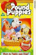 Watch Pound Puppies 9movies