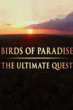 Watch Birds of Paradise: The Ultimate Quest 9movies