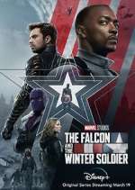Watch The Falcon and The Winter Soldier 9movies
