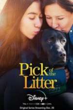 Watch Pick of the Litter 9movies
