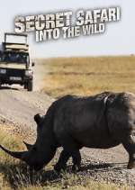 Watch Secret Safari: Into the Wild 9movies