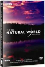 Watch The Natural World 9movies