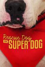 Watch Rescue Dog to Super Dog (US) 9movies