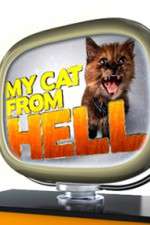 Watch My Cat from Hell 9movies