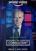 Watch The Consultant 9movies