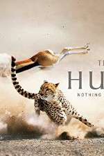 Watch The Hunt 9movies