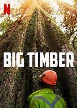 Watch Big Timber 9movies