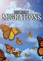Watch Secret Migrations 9movies