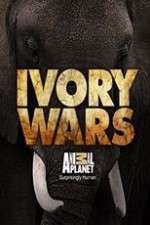 Watch Ivory Wars 9movies