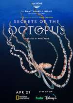 Watch Secrets of the Octopus 9movies