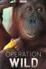 Watch Operation Wild 9movies