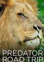 Watch Predator Road Trip 9movies