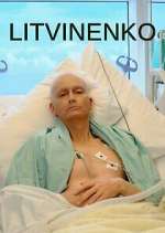 Watch Litvinenko 9movies