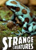 Watch Strange Creatures 9movies