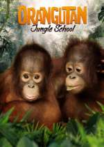Watch Orangutan Jungle School 9movies