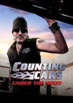 Watch Counting Cars: Under the Hood 9movies