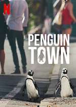 Watch Penguin Town 9movies