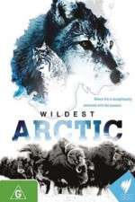 Watch Wildest Arctic 9movies