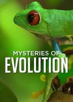 Watch Mysteries of Evolution 9movies