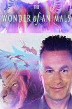 Watch The Wonder of Animals 9movies